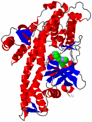 Image Asym./Biol. Unit