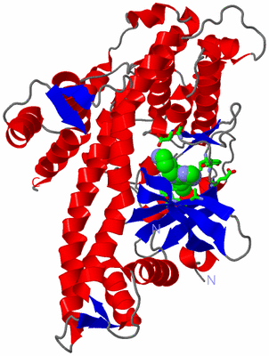 Image Asym./Biol. Unit - sites