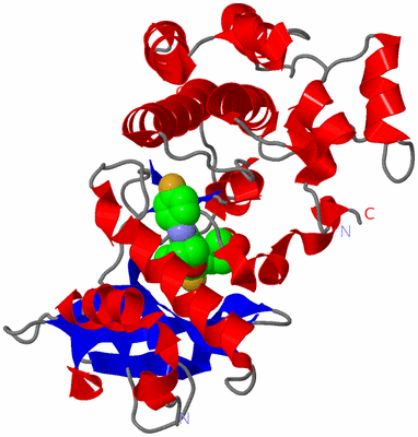 Image Asym./Biol. Unit