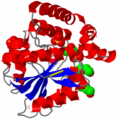 Image Asym./Biol. Unit