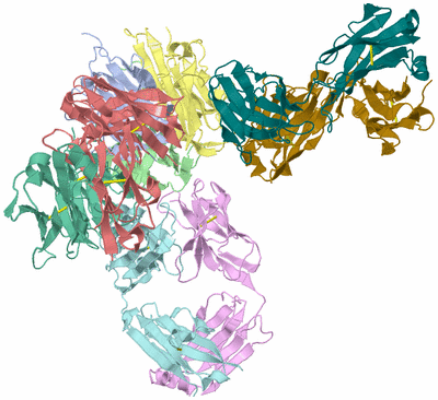 Image Asym./Biol. Unit