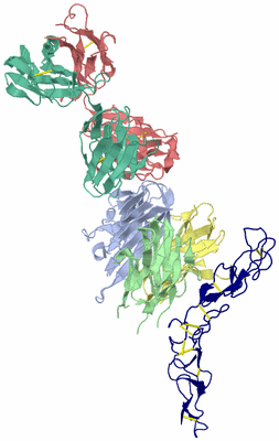 Image Biological Unit 2