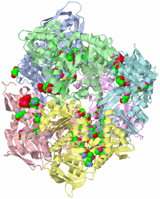 Image Biological Unit 1