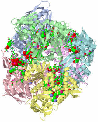 Image Biol. Unit 1 - sites