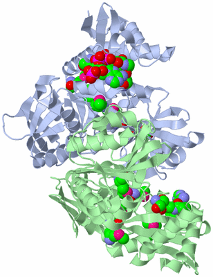 Image Biological Unit 2