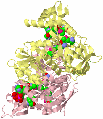 Image Biological Unit 3