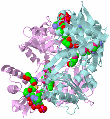 Image Biological Unit 4