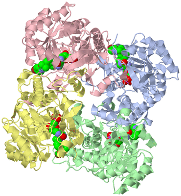 Image Biological Unit 1