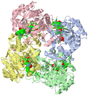 Image Biol. Unit 1 - sites