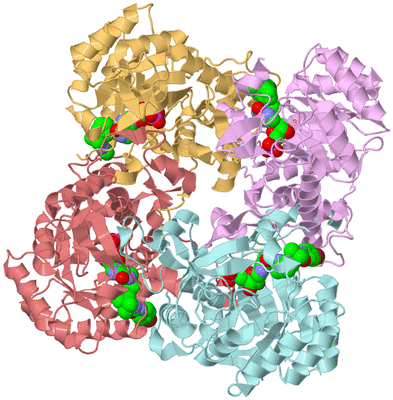 Image Biological Unit 2