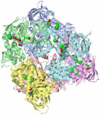 Image Biological Unit 1