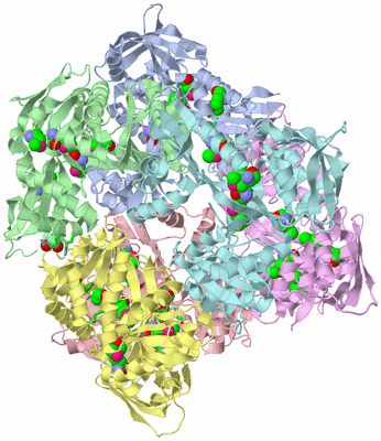 Image Biol. Unit 1 - sites