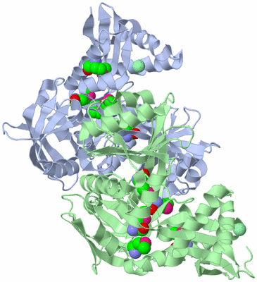 Image Biological Unit 2