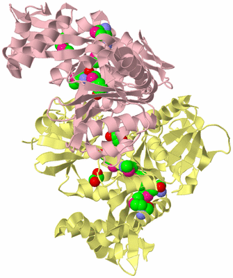 Image Biological Unit 3