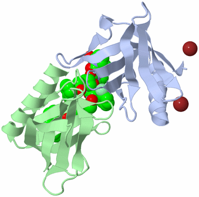 Image Asymmetric Unit