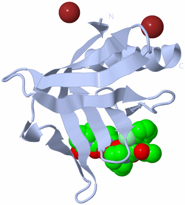 Image Biological Unit 1