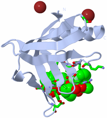 Image Biol. Unit 1 - sites
