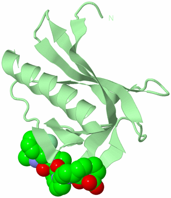 Image Biological Unit 2