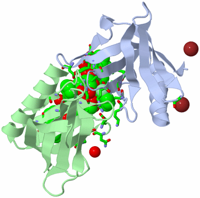 Image Asym. Unit - sites