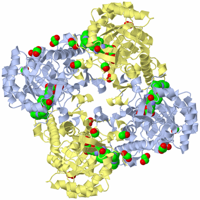 Image Biological Unit 1