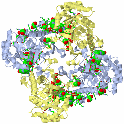 Image Biol. Unit 1 - sites