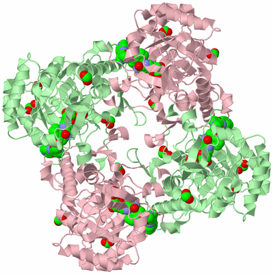 Image Biological Unit 2