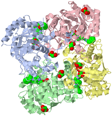 Image Biological Unit 1