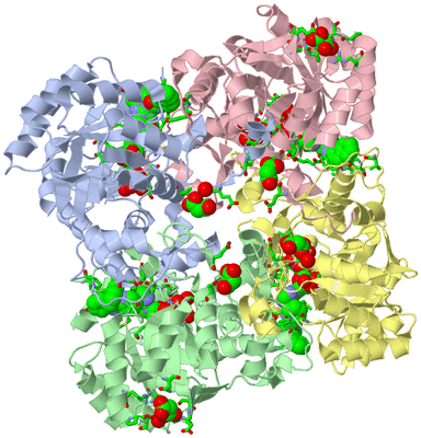 Image Biol. Unit 1 - sites