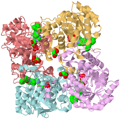 Image Biological Unit 2