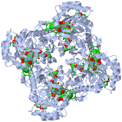 Image Biol. Unit 1 - sites