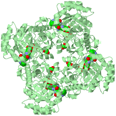 Image Biological Unit 2