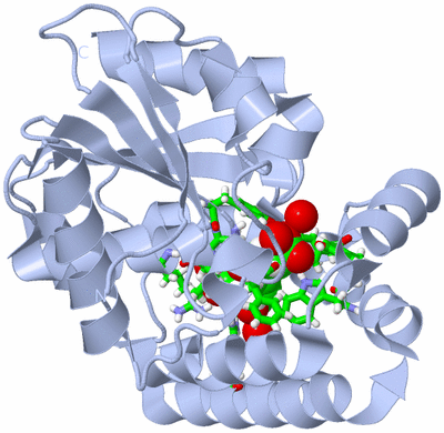 Image Biol. Unit 1 - sites