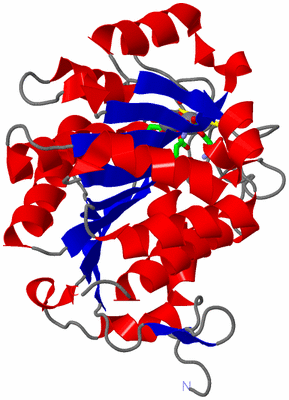 Image Asym. Unit - sites