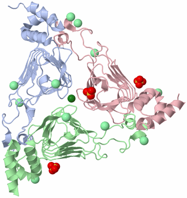 Image Biological Unit 1