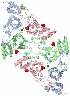 Image Biological Unit 2