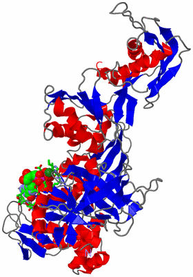 Image Asym./Biol. Unit - sites