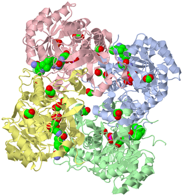 Image Biological Unit 1