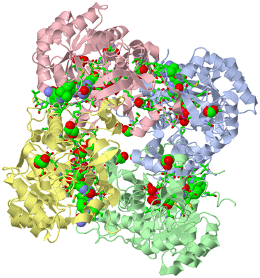 Image Biol. Unit 1 - sites