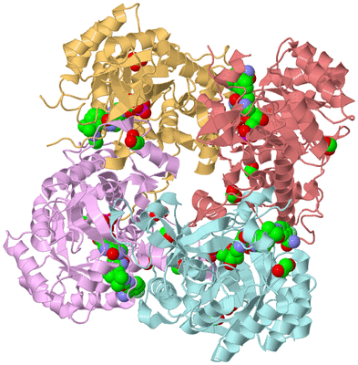 Image Biological Unit 2