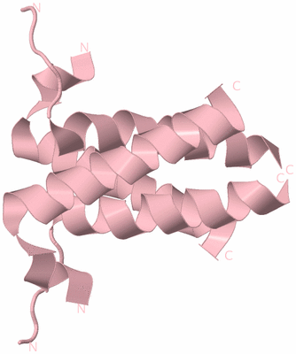 Image Biological Unit 2