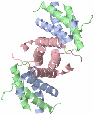 Image Biological Unit 3