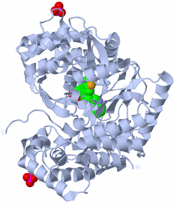 Image Biological Unit 1