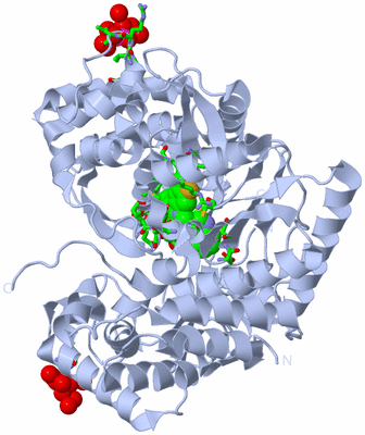 Image Biol. Unit 1 - sites