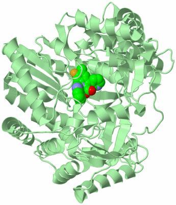 Image Biological Unit 2