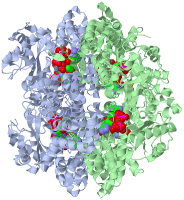 Image Biological Unit 1