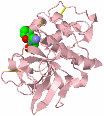 Image Biological Unit 3