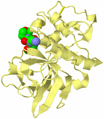 Image Biological Unit 4