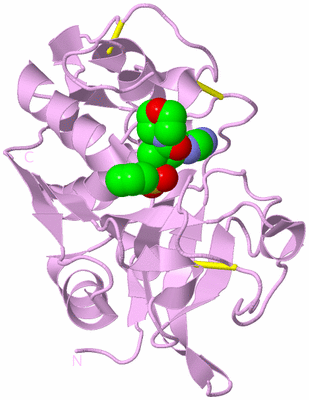 Image Biological Unit 5