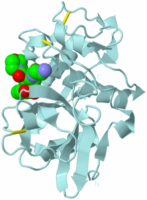 Image Biological Unit 6