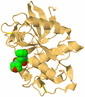 Image Biological Unit 7